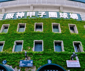 阪神甲子園球場